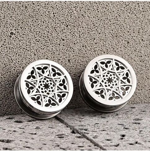 Ear Tunnels Plugs 316 Stainless Steel Ear Gauges Hypoallergenic Earrings Expander Stretcher Piercing Body Jewelry 2PCS in Saudi Arabia