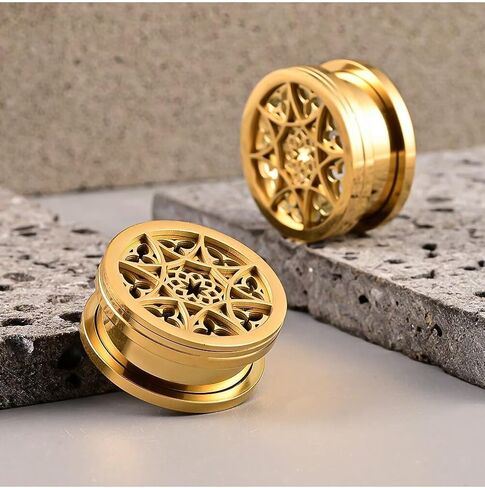 Ear Tunnels Plugs 316 Stainless Steel Ear Gauges Hypoallergenic Earrings Expander Stretcher Piercing Body Jewelry 2PCS in Saudi Arabia