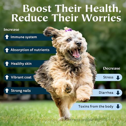 Pets Zeolite Powder | 100% Natural Food Supplement for Immunity & Detox | Vitality | Better Digestion | Liver Health | Joint Problems | Suitable for All Pets - 120g / 4.23 oz. in Saudi Arabia