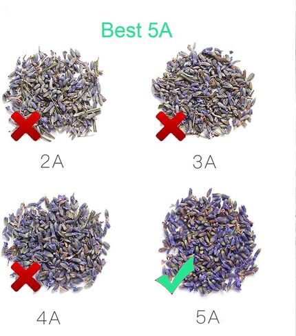 Natural Dried Lavender Buds. Cloakroom Deodorant, Handmade Candles. 200 g Dry Lavender Buds Bulk Wholesale Fragrant in Saudi Arabia