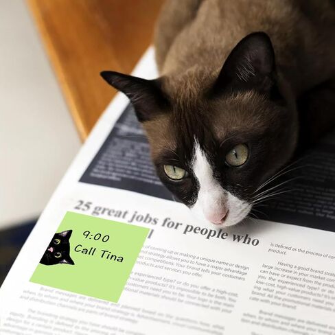 مجموعة 9 وسادات ملاحظات لاصقة للقطط السوداء، وسادات ملاحظات وردية ذاتية اللصق، وسادات مذكرة فائقة اللصق، بطاقة ملاحظات لطيفة كهدية لمحبي القطط، مكتب المعلم واللوازم المدرسية، 3x3 بوصة in Kuwait