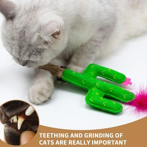PAZ'S GIFT Cat Toys Cat Pillows Companion Cat 3-Pack Soft and Durable Catnip Toys for Indoor Cats Interactive Kicking Cat Toys Promote Kitten Exercise Relieve Nest Splitting Anxiety in Saudi Arabia