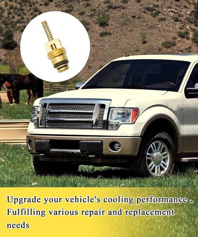 25Pcs-Standard M10 Brass A/C Schrader Valve Core BAS03009 Compatible With GM 10245619 MT0065 59356 Chrysler 4882331 And More Vehicles Accessories,Replace 134A R12 Systems ﻿ in Saudi Arabia