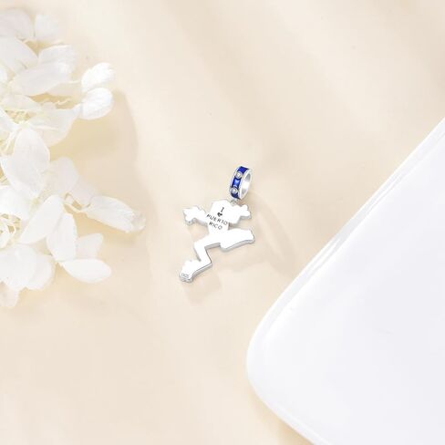 Yafeini Puerto Rico Souners Charm 925 Sterling Silver Coqui Frog Puerto Rico Darms Puerto Rico Gifts for Women in Saudi Arabia