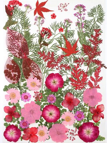 15 Types 48pcs Real Dried Pressed Flowers Leaf Plant Herbarium for DIY Resin Jewelry Making Floral Decors (Pink) in Kuwait