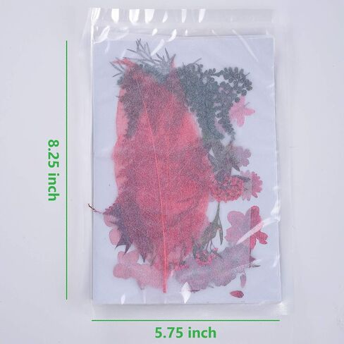 15 Types 48pcs Real Dried Pressed Flowers Leaf Plant Herbarium for DIY Resin Jewelry Making Floral Decors (Pink) in Kuwait