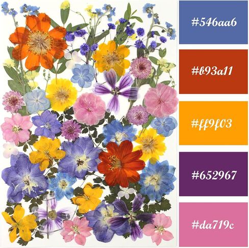 15 Types 48pcs Real Dried Pressed Flowers Leaf Plant Herbarium for DIY Resin Jewelry Making Floral Decors (Pink) in Kuwait