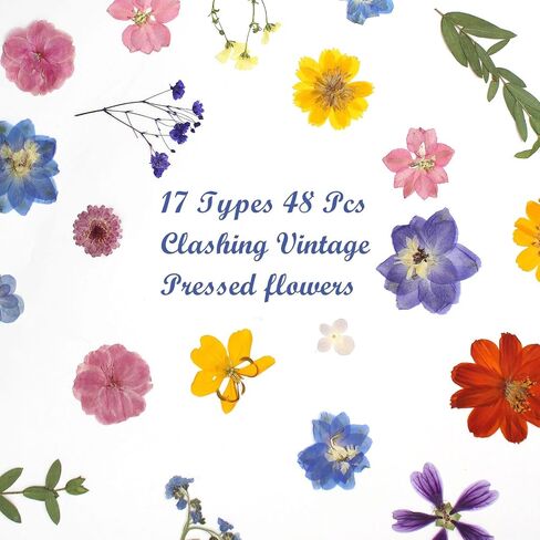15 Types 48pcs Real Dried Pressed Flowers Leaf Plant Herbarium for DIY Resin Jewelry Making Floral Decors (Pink) in Kuwait