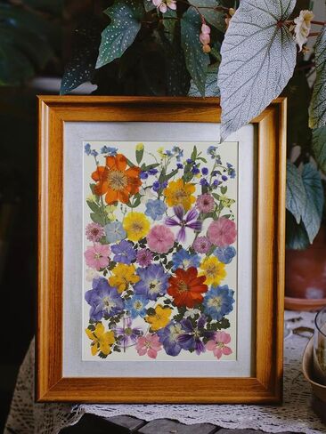 15 Types 48pcs Real Dried Pressed Flowers Leaf Plant Herbarium for DIY Resin Jewelry Making Floral Decors (Pink) in Kuwait