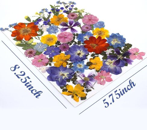 15 Types 48pcs Real Dried Pressed Flowers Leaf Plant Herbarium for DIY Resin Jewelry Making Floral Decors (Pink) in Kuwait