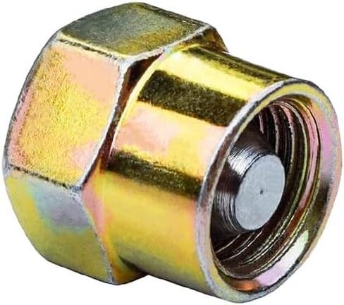 أداة منع حاقن الوقود بالسكك الحديدية المشتركة للديزل 20 مم / غطاء اختبار M20 in Kuwait