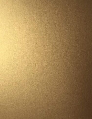 Cardstock Warehouse Stardream Antique Gold/Dark Gold - 8.5 x 11" - 81 Lb. Lightweight Text Paper / 120 Gsm Pearlescent Multi-Use Text Paper - 50 Sheets in Kuwait