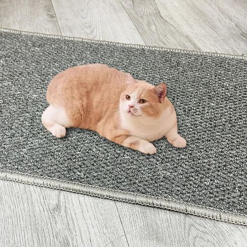 70.9"x 15.7" Thickened Extra Large Cat Wall Climbing Carpet with 10pcs Fixed Nails, Durable Cat Wall Furniture, Wall Scratcher, Scratching Post, Couch Sofa Protector in Saudi Arabia