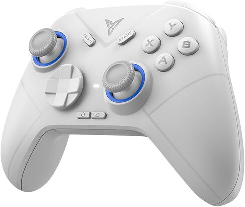 FLYDIGI Direwolf 2 PC Game Controller Hall Effect Joystick & Trigger Macros & Turbo Quick Setting Dual Vibration 800mAh Multi-Platform Controller for PC/NS/TV/Laptop/Android/IOS/Mobile Native in Kuwait