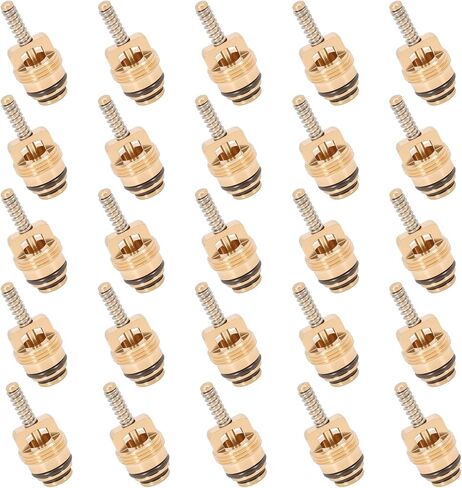 25pcs AC Schrader Valve لـ BAS03009 MT0065 59356 بديل متوافق مع Ford 4L3Z19D701A/GM 10245619/Chrysler 4882331/134A R12 Systems ، M10 BRASS AIRCOLING VALVE CORSE CORSE in Kuwait