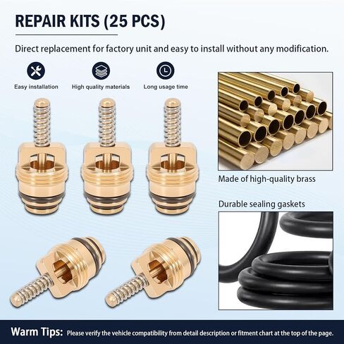 25pcs AC Schrader Valve لـ BAS03009 MT0065 59356 بديل متوافق مع Ford 4L3Z19D701A/GM 10245619/Chrysler 4882331/134A R12 Systems ، M10 BRASS AIRCOLING VALVE CORSE CORSE in Kuwait