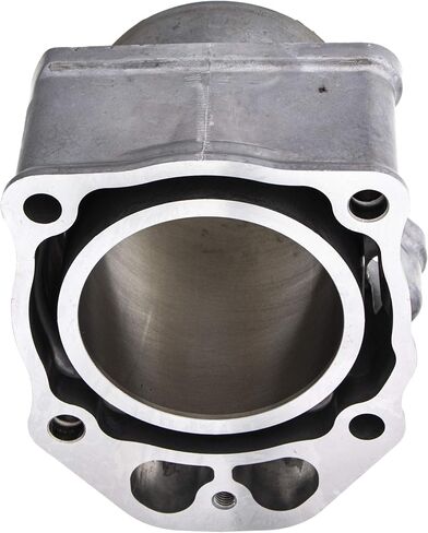 طقم إعادة بناء طعمة مكبس Niche Cylinder نامورا من أجل Honda TRX420 12251-HP7-A01 12315-HP5-601 in Saudi Arabia
