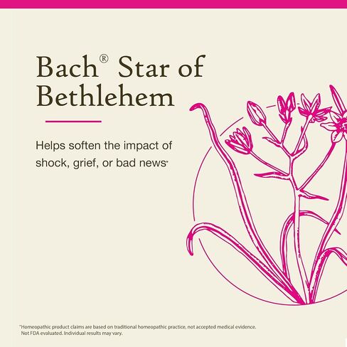 Bach Original Flower Remedies, Star of Bethlehem - Neutralize Grief - Natural Homeopathic Flower Essence for Emotional Balance - Vegan, Gluten Free, Sugar Free - 20mL Dropper in Kuwait