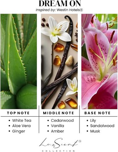 Dream On Aroma Diffuser Oil 1200ML - Waterless Essential Oil for diffusers - Luxury Hotel Inspired Fragrance - Aroma Oil for Aromatherapy - Fits in Any Diffuser (Dream On) in Saudi Arabia