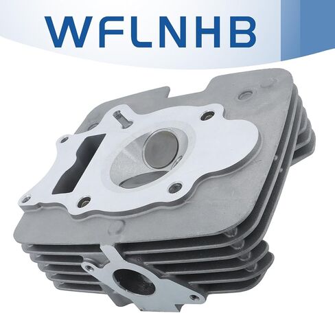 استبدال رأس أسطوانة WFLNHB لـ Honda Recon 250 SPORTRAX 250 TRX250X بديل لـ 12200-HM8-305 2002-2014 in Saudi Arabia