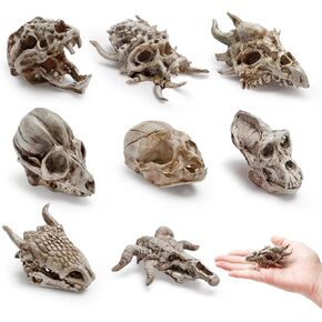 Bbiamsleep 8 Pcs 2.3 Inch Animal Skulls Figurine Resin Mini Skulls Dinosaur Alien Animal Skulls Decor Ornament Mini Skull Heads for DIY Projects Halloween Christmas Decoration