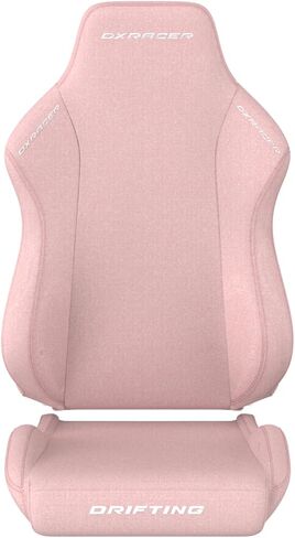غطاء كرسي ألعاب DXRACER L ، مقعد Slipcover CARCH CARCHER CARCOVER CARCOVER CAT in Saudi Arabia