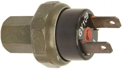 A/C Cut Out Switch for 1976-1979 Buick Skylark in Saudi Arabia