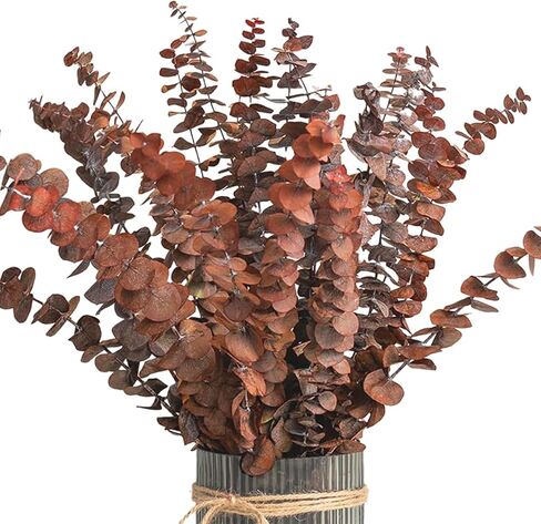 Red Colored Eucalyptus Leaves/Stems, Natural - Dried - Perserved Eucalyptus, Real Plant, for Wedding, Home Decor, DIY, Total of 25 Pieces in Saudi Arabia
