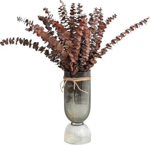 Red Colored Eucalyptus Leaves/Stems, Natural - Dried - Perserved Eucalyptus, Real Plant, for Wedding, Home Decor, DIY, Total of 25 Pieces in Saudi Arabia