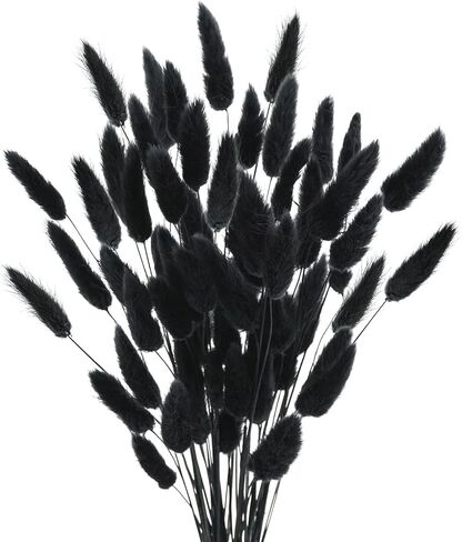 Uieke 17’’ Natural Bunny Tails Dried Flowers, 240 Pcs Dried Lagurus Ovatus, Dried Pampas Grass for Flower Arrangements Wedding Centerpieces Home Boho Baby Shower Party Fall Decorations (Orange) in Kuwait