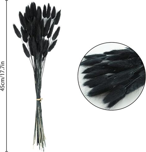 Uieke 17’’ Natural Bunny Tails Dried Flowers, 240 Pcs Dried Lagurus Ovatus, Dried Pampas Grass for Flower Arrangements Wedding Centerpieces Home Boho Baby Shower Party Fall Decorations (Orange) in Kuwait