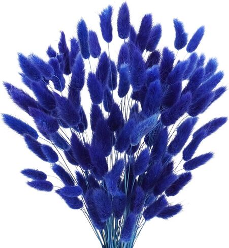 Uieke 17’’ Natural Bunny Tails Dried Flowers, 240 Pcs Dried Lagurus Ovatus, Dried Pampas Grass for Flower Arrangements Wedding Centerpieces Home Boho Baby Shower Party Fall Decorations (Orange) in Kuwait