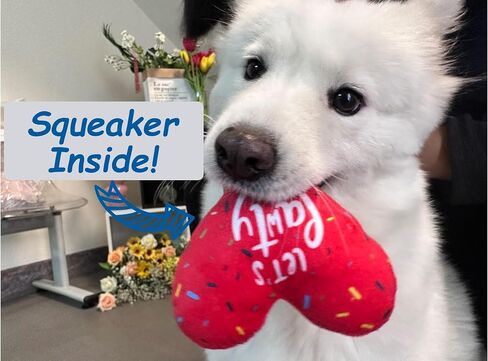 Dog Birthday Toys - 6 Pack Puppy Toys for Small and Medium Dogs - Plush Squeaky Crinkle - Cute Dog Birthday Gift in Saudi Arabia