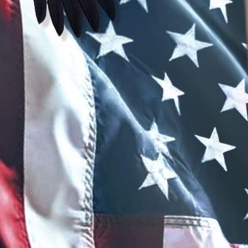 Three Rooker Patriotic Ties Mens Flag and Eagle Necktie USA Tie in Saudi Arabia