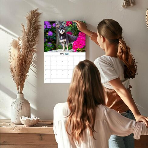 تقويم كيشوند 2025 2025 - تقويم جداري شهري لسلالة الكلاب - 12 × 24 مفتوح - ورق سميك لا ينزف - هدية - تنظيم وتخطيط تقويم مخطط المعلم الأكاديمي - صنع في الولايات المتحدة الأمريكية in Saudi Arabia
