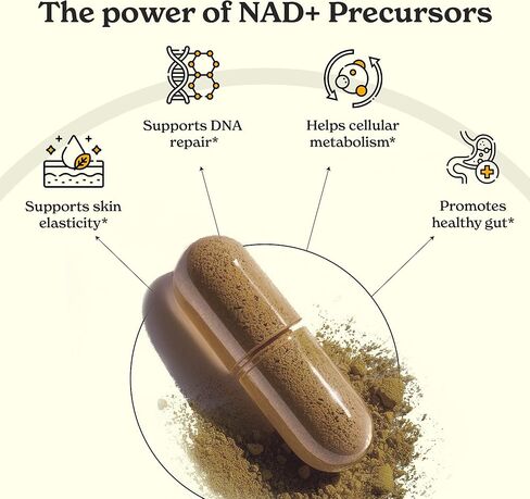 كبسولات البربرين (120) مع حمض الهيدروكلوريك 97%| مع قرفة سيلان، كركم، شاي أخضر، جينسينج| يساعد على الهضم ويدعم المناعة| نباتي وغير معدّل وراثيًا in Kuwait
