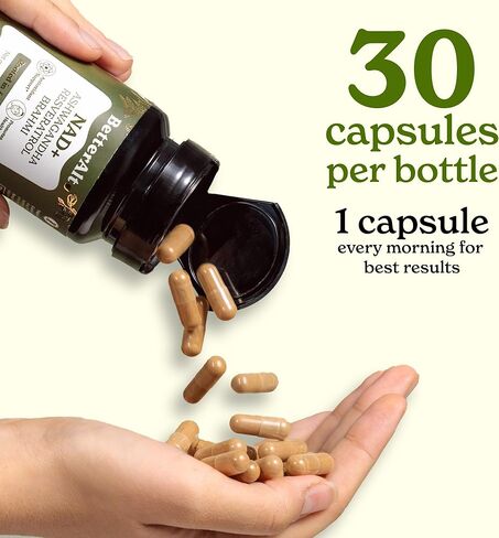 كبسولات البربرين (120) مع حمض الهيدروكلوريك 97%| مع قرفة سيلان، كركم، شاي أخضر، جينسينج| يساعد على الهضم ويدعم المناعة| نباتي وغير معدّل وراثيًا in Kuwait