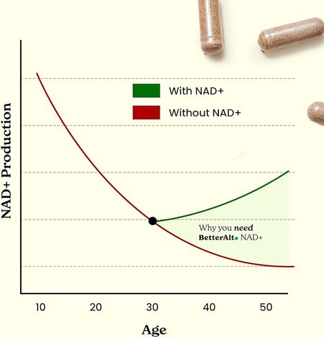 كبسولات البربرين (120) مع حمض الهيدروكلوريك 97%| مع قرفة سيلان، كركم، شاي أخضر، جينسينج| يساعد على الهضم ويدعم المناعة| نباتي وغير معدّل وراثيًا in Kuwait