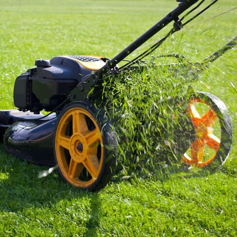 1 قطعة 6004Z محامل كروية ذات أخدود عميق - [20 مم × 42 مم × 12 مم] كرات فولاذية من الكروم للمحركات وصناديق التروس لأداة الآلة، درع واحد in Kuwait