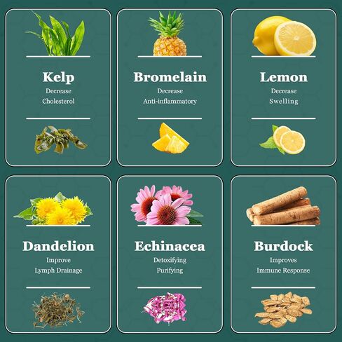 مكملات الصرف اللمفاوية مع الهندباء ، مستخلصات echinacea & bromelain ، دعم نظام الليمفاوية للرجال والنساء - ينظف اللمفاوية ويقلل من تورم 60 زجاجات العد in Kuwait