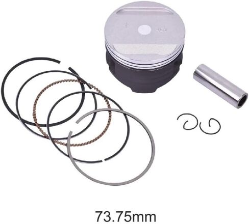 Motorcycle Cylinder Engine Piston Ring Fit For TT-R250L TTR250 M 1999-2003(1.0 size) in Saudi Arabia