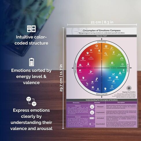 metaFox "Values Compass" for Coaching and Therapy - Personal Development and Self-Reflection Tool, Enhance Coaching Materials, Life Values Compass, Based on Schwartz Theory of Values in Kuwait