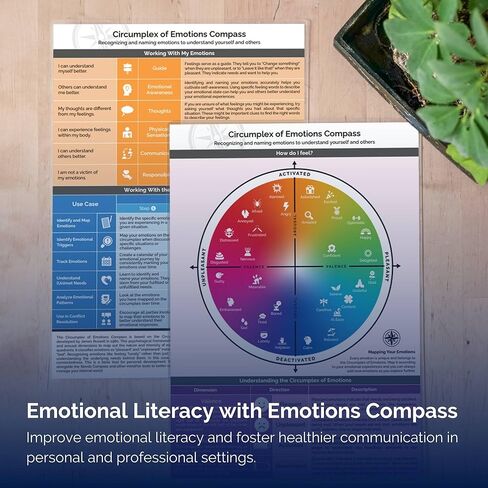 metaFox "Values Compass" for Coaching and Therapy - Personal Development and Self-Reflection Tool, Enhance Coaching Materials, Life Values Compass, Based on Schwartz Theory of Values in Kuwait
