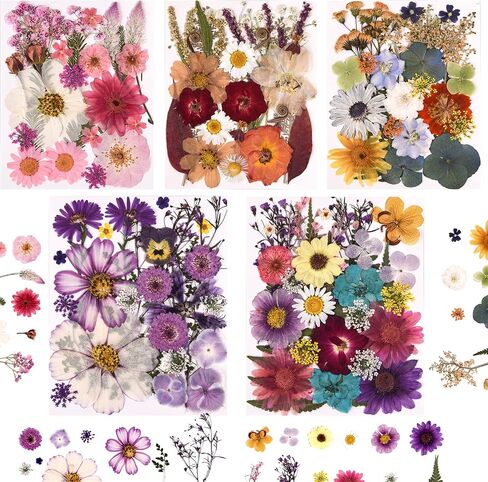 5 Packs of 140 Pressed Dried Flowers and Leaves Real Natural Dried Flowers with Tweezers for DIY Crafts, Resin Jewelry, Card Making, Soap, Candles, Nail Art, and Scrapbooking (5 Colors) in Saudi Arabia
