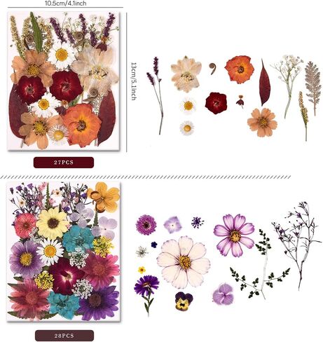 5 Packs of 140 Pressed Dried Flowers and Leaves Real Natural Dried Flowers with Tweezers for DIY Crafts, Resin Jewelry, Card Making, Soap, Candles, Nail Art, and Scrapbooking (5 Colors) in Saudi Arabia