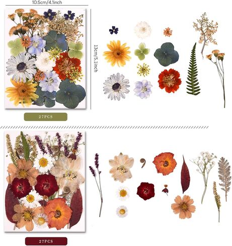 5 Packs of 140 Pressed Dried Flowers and Leaves Real Natural Dried Flowers with Tweezers for DIY Crafts, Resin Jewelry, Card Making, Soap, Candles, Nail Art, and Scrapbooking (5 Colors) in Saudi Arabia