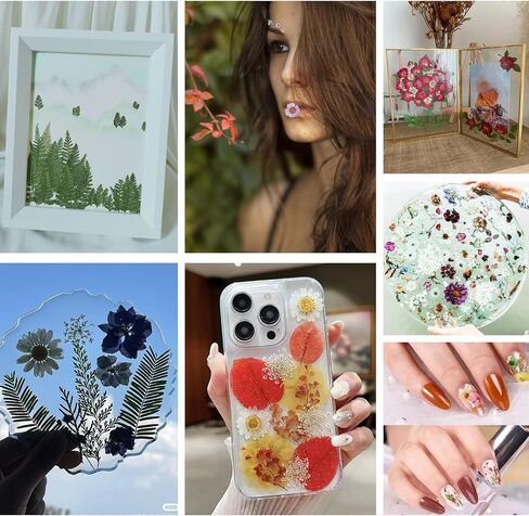 5 Packs of 140 Pressed Dried Flowers and Leaves Real Natural Dried Flowers with Tweezers for DIY Crafts, Resin Jewelry, Card Making, Soap, Candles, Nail Art, and Scrapbooking (5 Colors) in Saudi Arabia