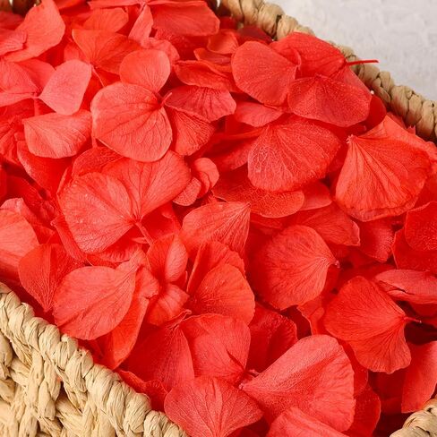 VAIPI 2500 PCS Burnt Orange Hydrangea Petals for Fall Wedding Decor 100% Natural Real Flower Petals for Wedding Aisle Ceremony Romantic Night Engagement Party Flower Girl Baskets Table Centerpiece in Saudi Arabia