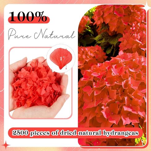 VAIPI 2500 PCS Burnt Orange Hydrangea Petals for Fall Wedding Decor 100% Natural Real Flower Petals for Wedding Aisle Ceremony Romantic Night Engagement Party Flower Girl Baskets Table Centerpiece in Saudi Arabia