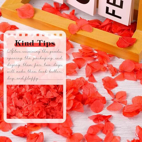 VAIPI 2500 PCS Burnt Orange Hydrangea Petals for Fall Wedding Decor 100% Natural Real Flower Petals for Wedding Aisle Ceremony Romantic Night Engagement Party Flower Girl Baskets Table Centerpiece in Saudi Arabia